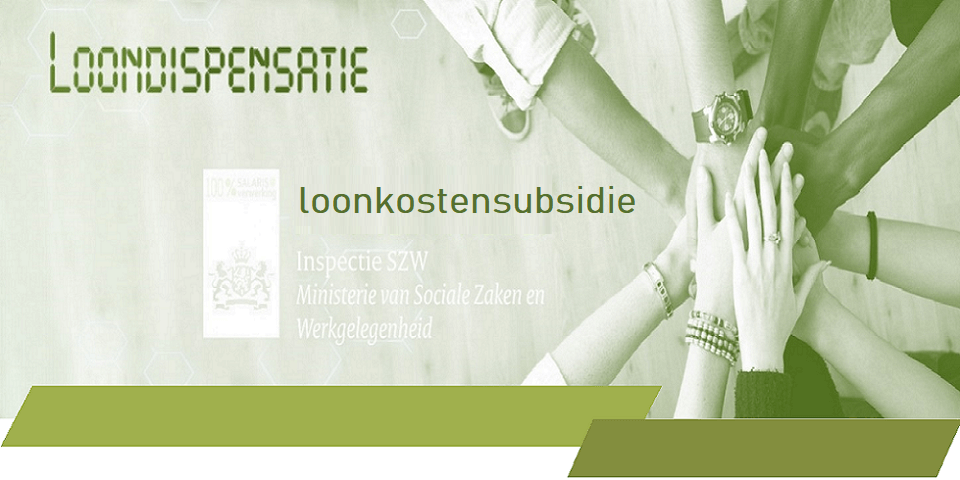 loonkostensubsidie, loonkostensubsidie of loondispensatie, de effectiviteit van loondispensatie en loonkostensubsidie