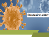 coronavirus overzicht, corona, coronacrisis overzicht,corona-maatregel, Noodmaatregel Overbrugging voor Werkbehoud (NOW), corona maatregelen overzicht, COVID-19 nieuws, corona actueel, coronacrisis nieuws, coronavirus nieuws, corona maatregelen nieuws, corona-epidemie nieuws,